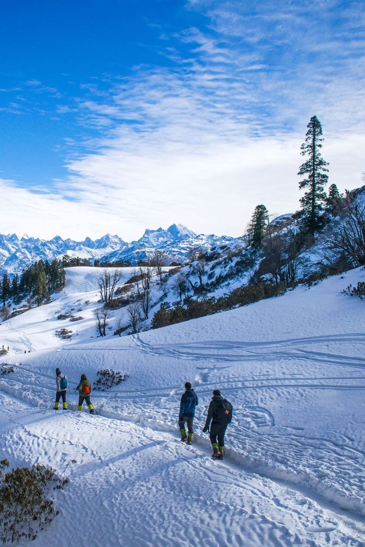 Delhi Shimla Kullu Manali Chandigarh Tour Package